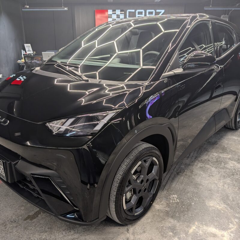 BYD DOLPHIN MINI 2026