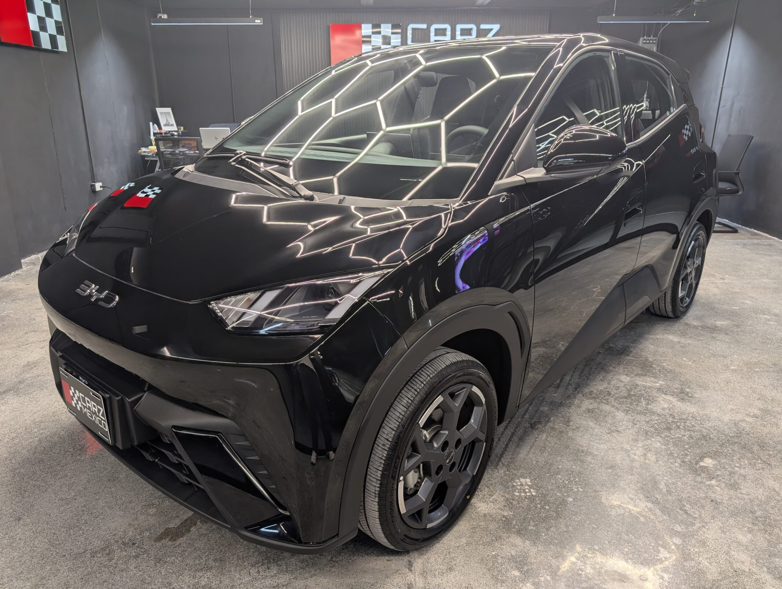 BYD DOLPHIN MINI 2026